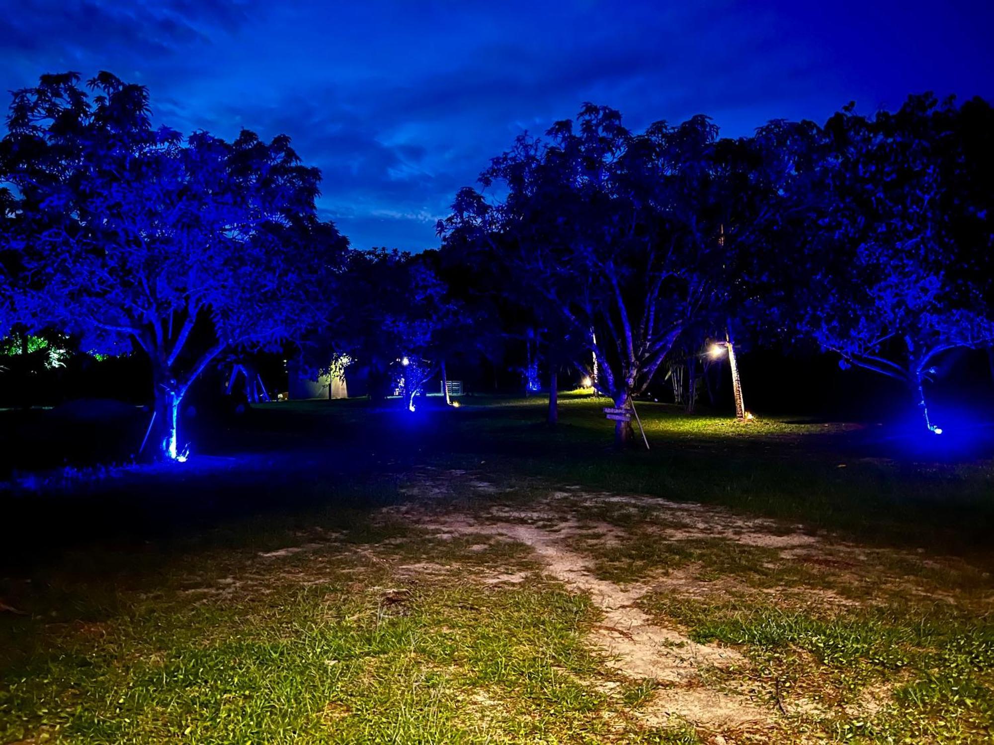 Pousada Paraiso Do Calango Azul Presidente Figueiredo Exterior foto
