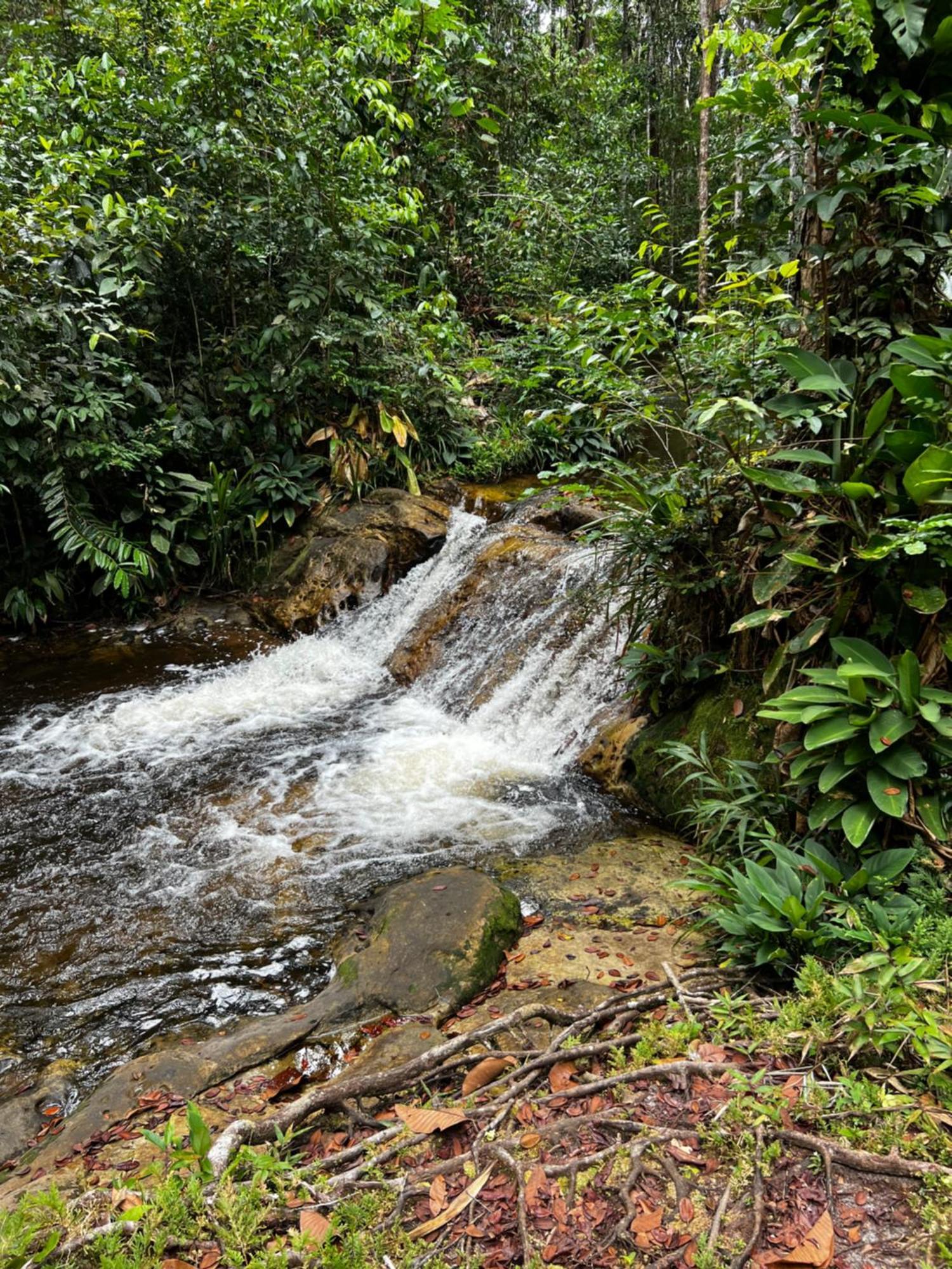 Pousada Paraiso Do Calango Azul Presidente Figueiredo Exterior foto