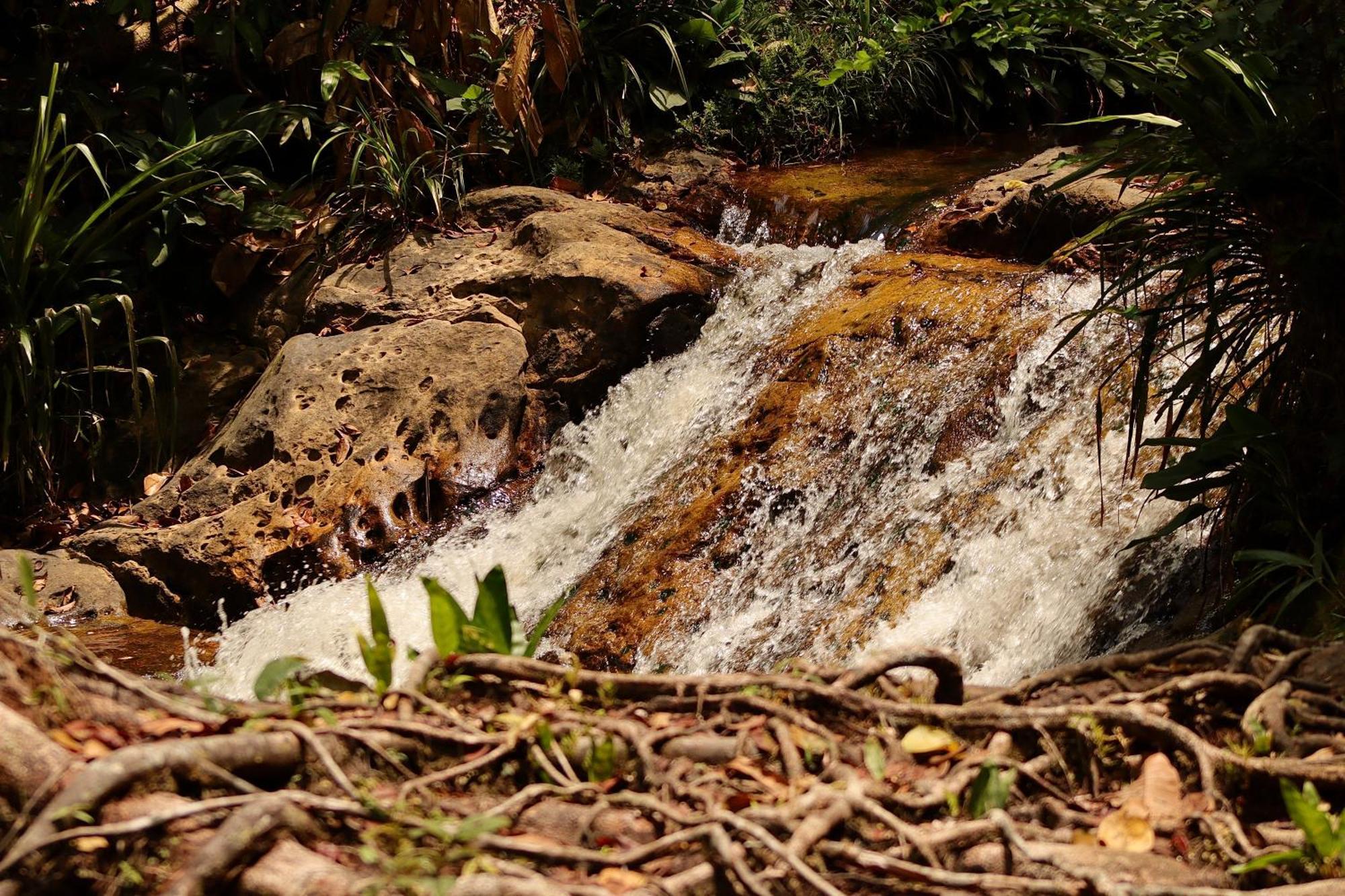 Pousada Paraiso Do Calango Azul Presidente Figueiredo Exterior foto