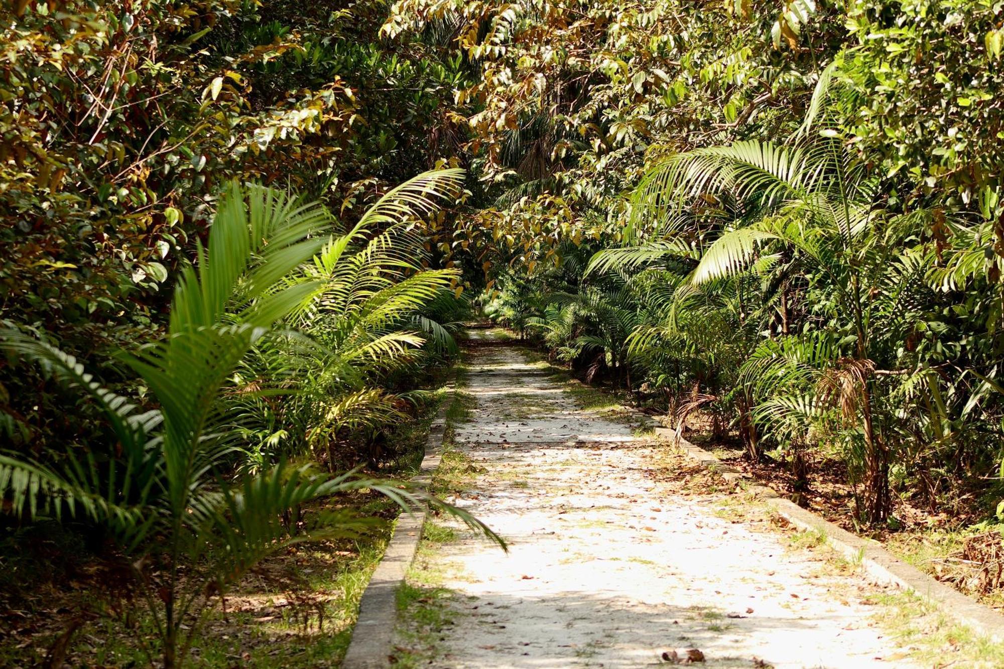 Pousada Paraiso Do Calango Azul Presidente Figueiredo Exterior foto
